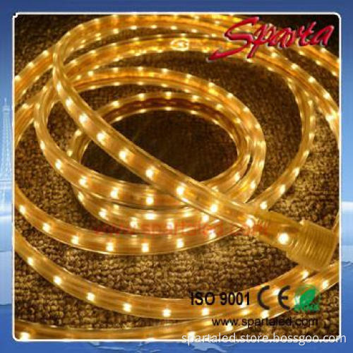 SMD5050 waterproof flexible led strip light 220v CE